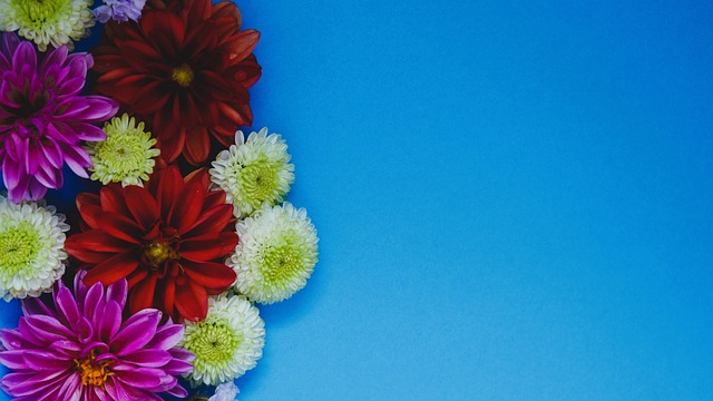 彻底打服了！张本美和：每次对决王曼昱想拿11分对我来说太遥远