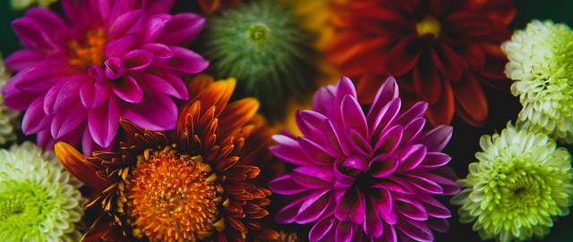 变动都备受 变动都备受