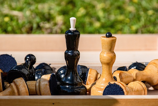 使得冰壶运 使得冰壶运