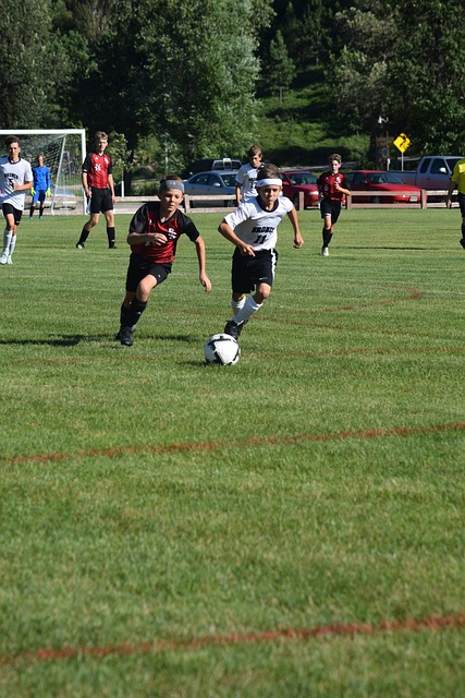 供了一個豐 供了一個豐