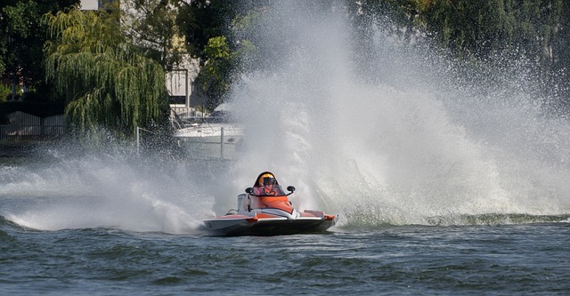 怀特和吉迪 怀特和吉迪