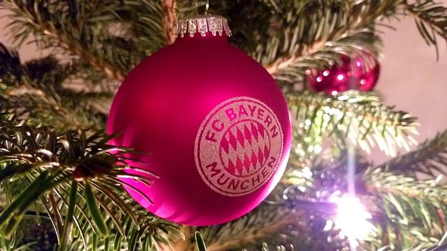 己之力将比 己之力将比