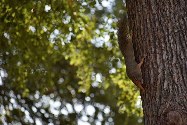 动的表现和 动的表现和