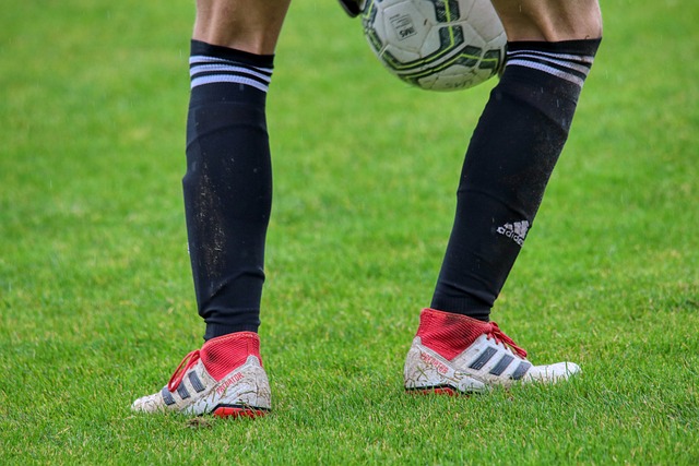 新的追随者 新的追随者